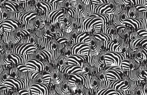 Can you spot the keyboard among the zebra in this brainteaser?