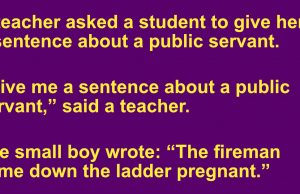 Teacher Asks Student to Write a Sentence About a Public Servant