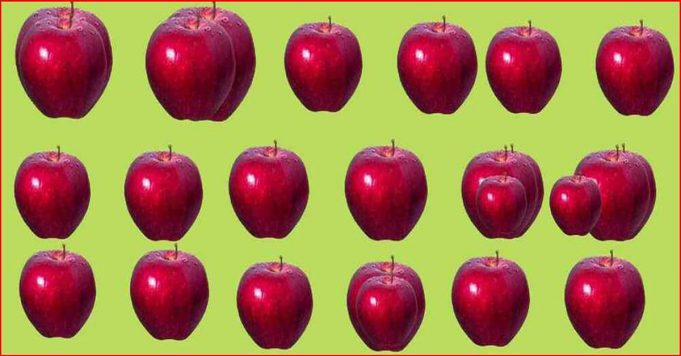 Can You Correctly Count The Number Of Apples In The Picture?