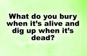 Have fun with these short riddles. How many can you get right?