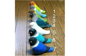 Can you spot the real bird hiding between the toys?