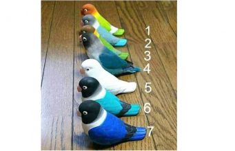 Can you spot the real bird hiding between the toys?