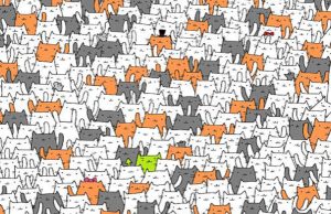 Can YOU spot the rabbit hiding among the cats?