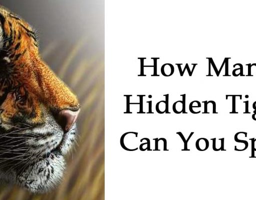 How Many Hidden Tiger Can You Spot?