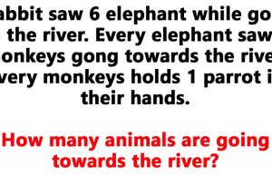 How Many Animals are Going towards The River?