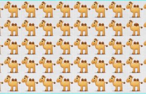 Can you find the symbols that stand out from the rest!