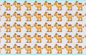 Can you find the symbols that stand out from the rest!