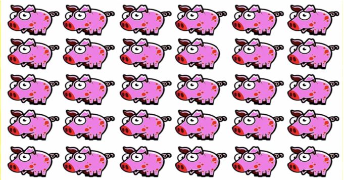 Can You Find The Odd Pig In less than 10 Seconds?