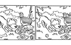 Can you count how many differences between these 2 pictures?