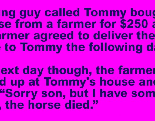 A young guy called Tommy bought a horse from a farmer