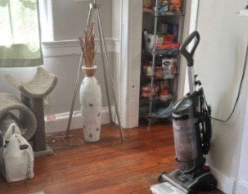 Can you spot the cute cat hiding in the living room in under 20 seconds?