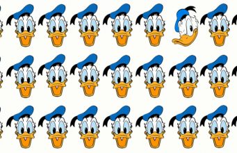 There is an odd Donal duck in this picture below, can you spot it?