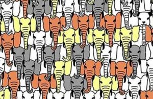 Almost everybody gets it wrong on the first try: Can you spot the panda hidden among the elephants?