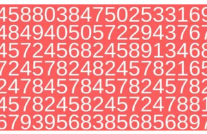 Find The Number 259.