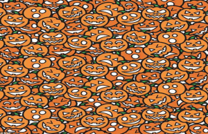 Can YOU spot the poker chip among the pumpkins?