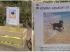 Owner sets up tennis ball stand on beach in honor of late dog.