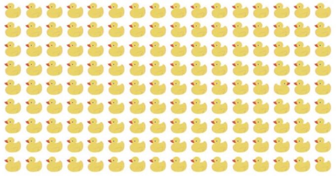Only a true genius can find the odd duck in less than 20 seconds