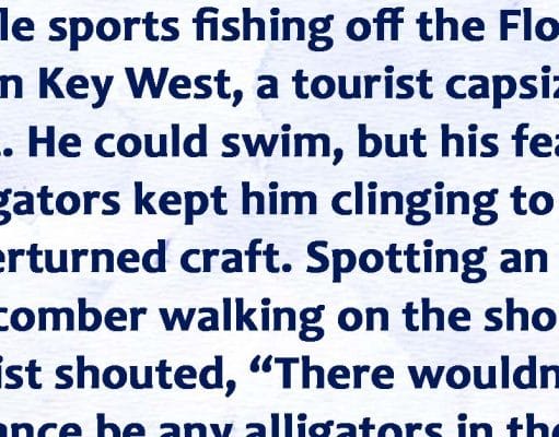 What Happened to the Alligators?