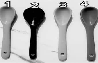 Can YOU spot the red spoon in this brainteaser?