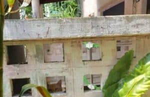 Can you spot the cat?