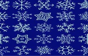 Can you spot the twins snowflake in less than 1 minute?
