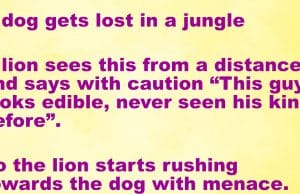 A dog gets lost in a jungle and meets a lion.