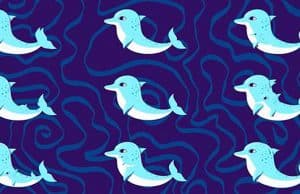 How Many Dolphins Are There In This Picture?