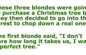 These three blondes were going to purchase a Christmas tree