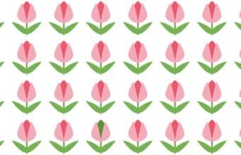 Can you spot the odd tulip in this picture?