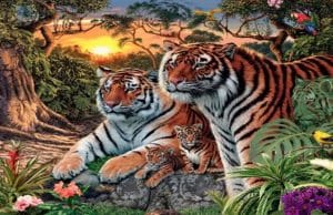 Simple Yet Tricky: Can You Guess Correctly How Many Tigers Are There In This Picture?
