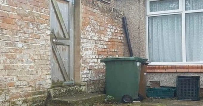 Most people fail – but can you find the sneaky cat in this picture?