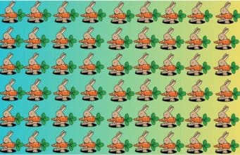 Can you spot the bunny that doesn’t belong to the pic?