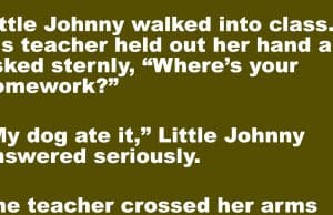 A teacher asked Little Johnny about his homework.