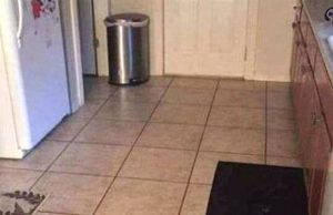 There’s a big dog hiding in this kitchen – can you find him in this picture?