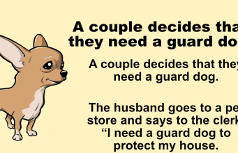 A couple decides that they need a guard dog.