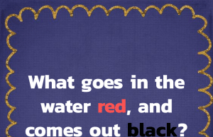 Tricky Questions That Makes Your Brain Sweat #5