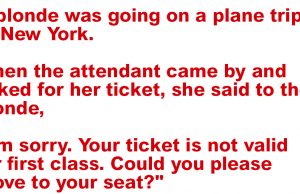 A blonde was going on a plane trip to New York.