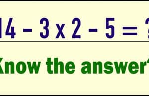 Can you solve this tricky math problem using nothing but regular school math?