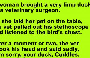 A woman takes her limp duck to the vet.