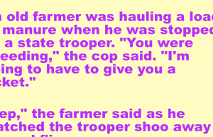 An old famer and the circle flies