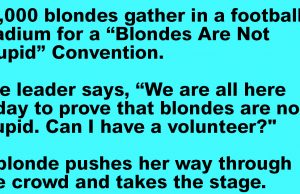 A blonde pays $1,000,000 to use a stadium to prove blondes are smart