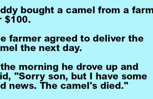 Paddy bought a camel from a farmer for $100.