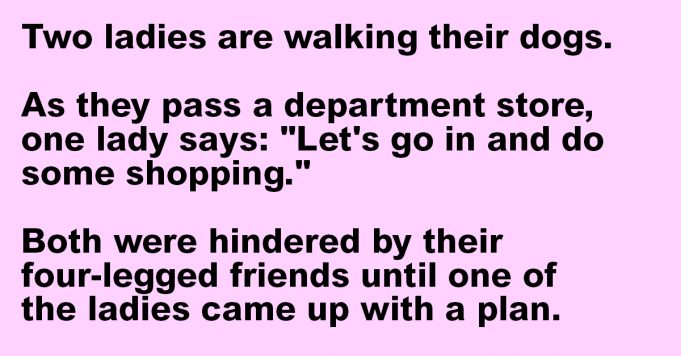 Two ladies are walking their dogs.