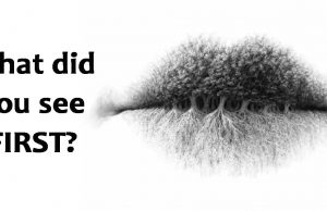 The first thing you see in this photo will says a lot about your hidden personality. What did you see FIRST?