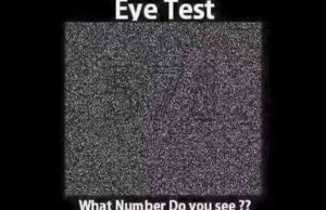 What Number Do You See?