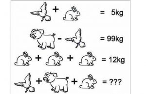 Can You Solve This Math Brain Teaser?