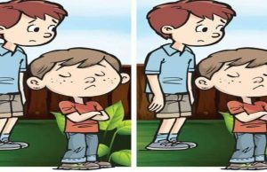 Spot the Difference: Upset Brother