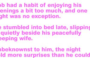 Bob comes home drunk one night, slids into bed beside wife