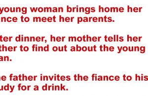A young woman brings home her fiance to meet her parents