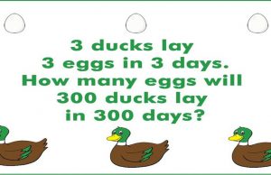 How many eggs?